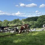 池の平湿原ハイキングと嬬恋そば!浅間牧場〜つつじの湯を巡る北軽井沢満喫コース(DAY3)